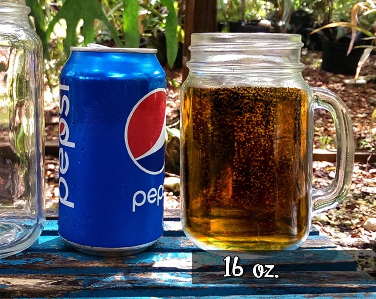 21st Birthday Gift for Her, Him 16 Oz Mason Jar Cheers to 21 Years Design Mug Personalized Laser Etched for College Celebration, Party